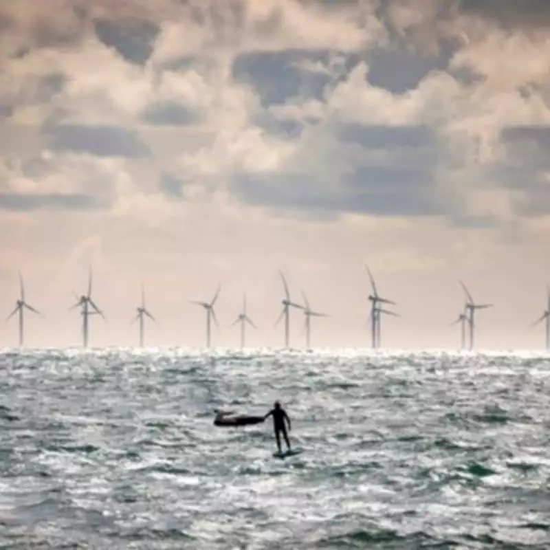 North East Unveils 10-Year Offshore Wind Strategy to Boost Green Economy
