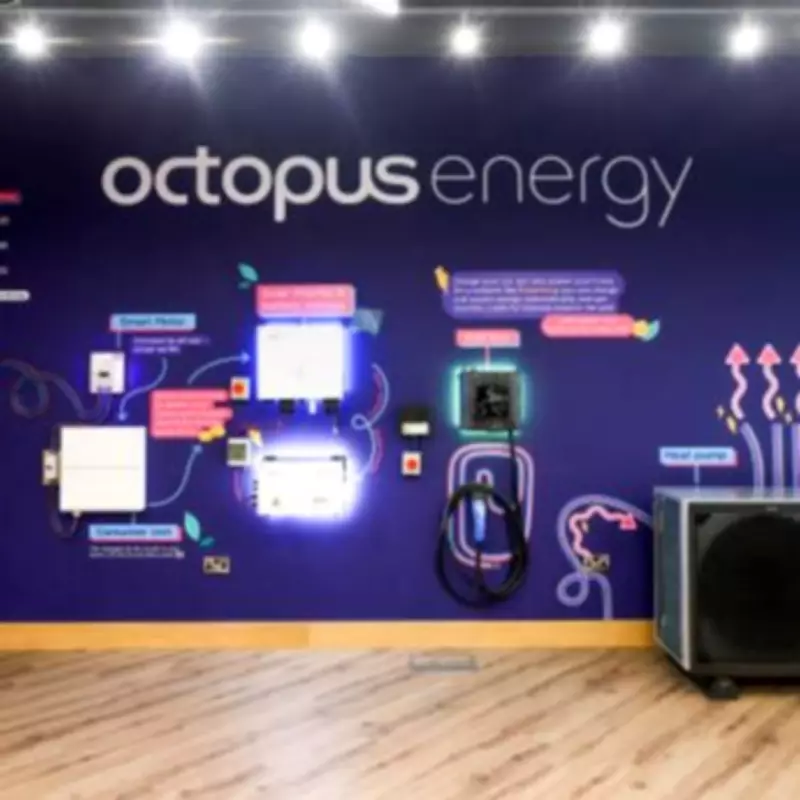 Octopus Energy Hits 8 Million Customers, Leads Green Energy Shift