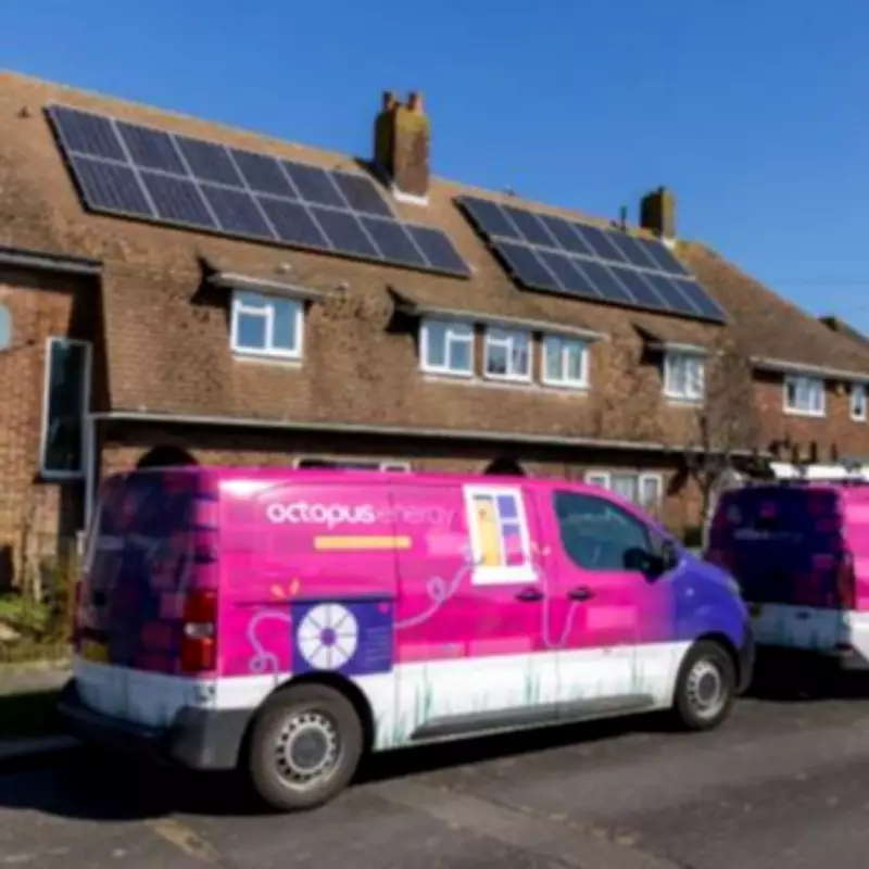 Octopus Energy Launches 'No-Brainer' Tariff, Cuts Social Housing Bills by £200
