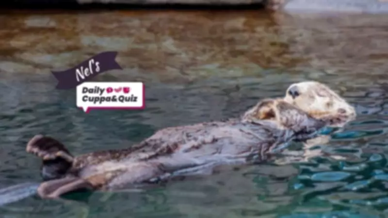 On This Day: Edward de Vere Born, Plus Daily Quiz and Answers