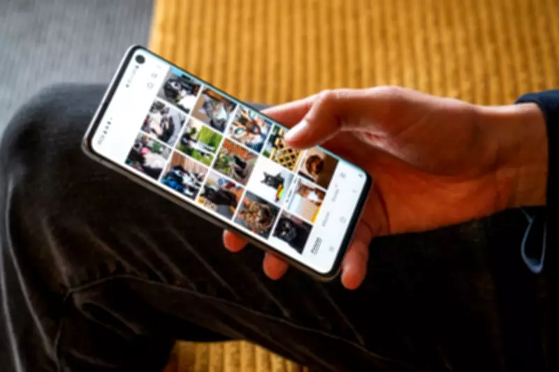 Pet Photos Dominate Phone Galleries, Outnumbering Loved Ones in Snaps