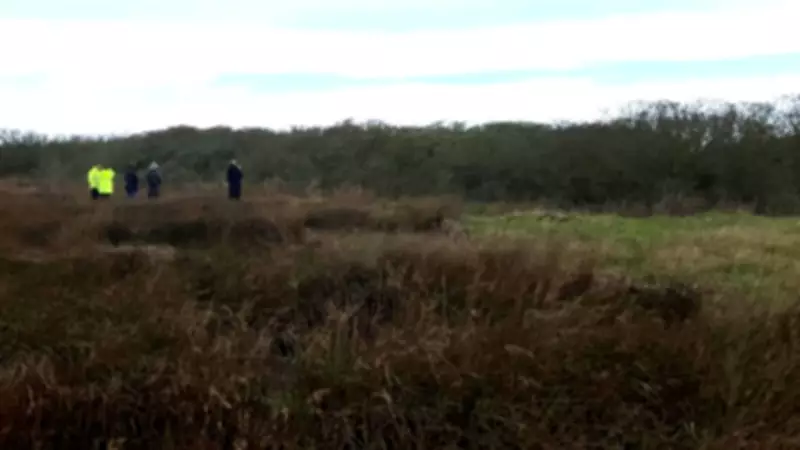 Rare Nightingale Sings on Sefton Coast After 40-Year Absence
