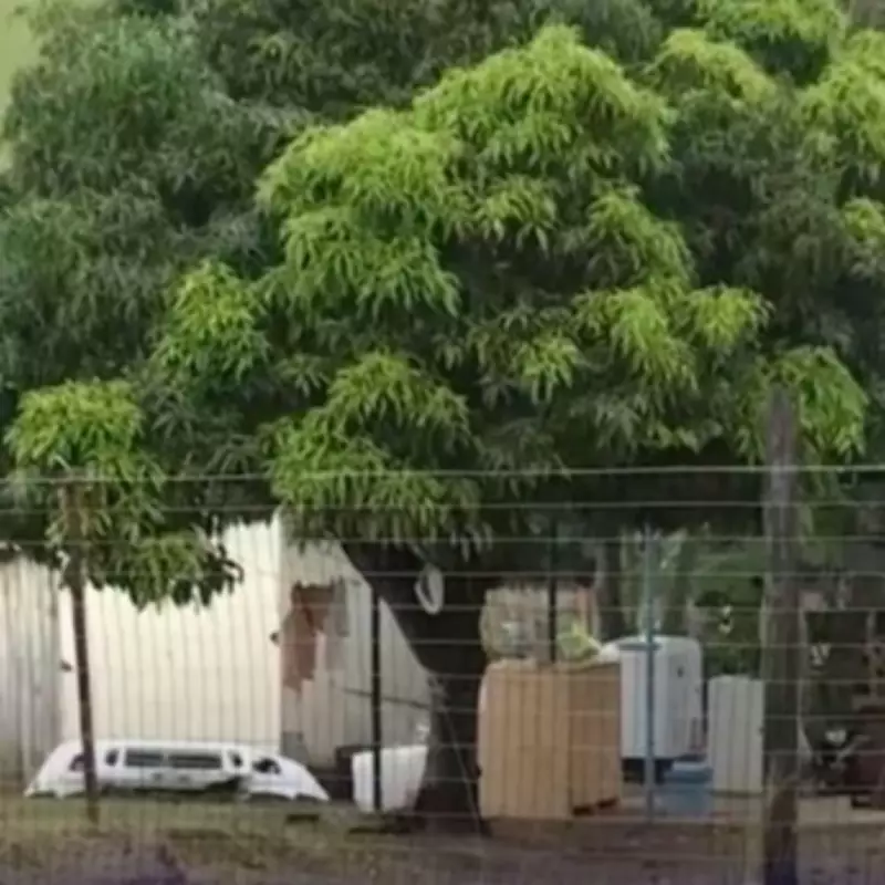 Seven Family Members Kidnapped, Raped, and Executed in South Africa