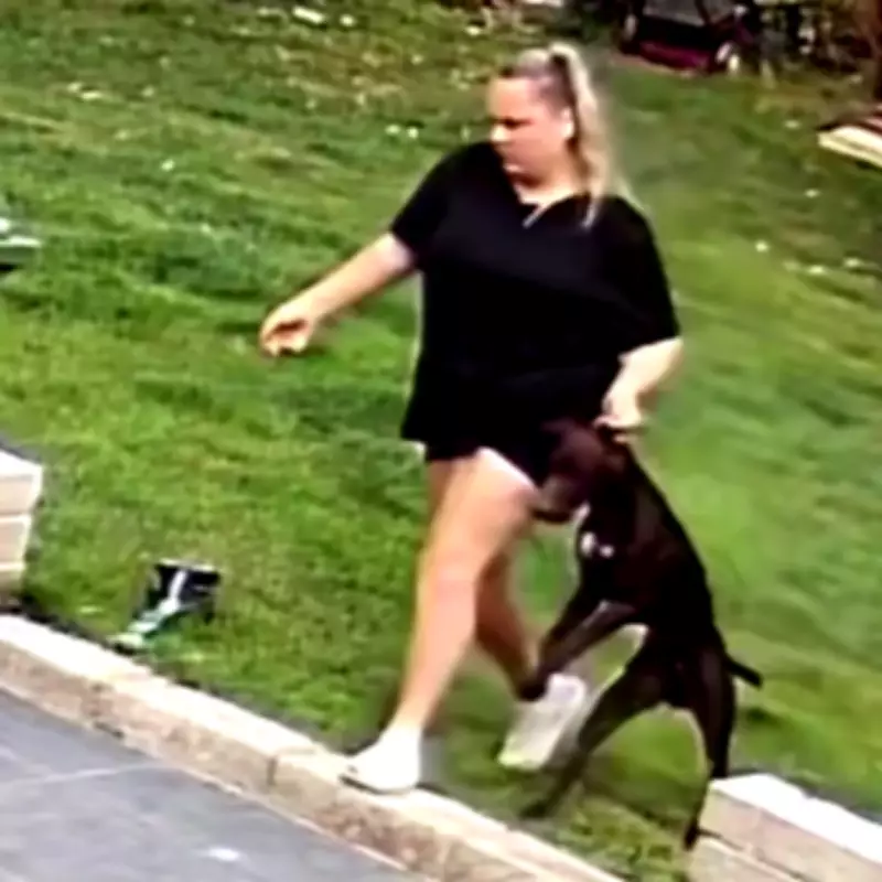 Shamed Pet Sitter Paige Williams Sentenced for Dog Abuse Caught on Camera