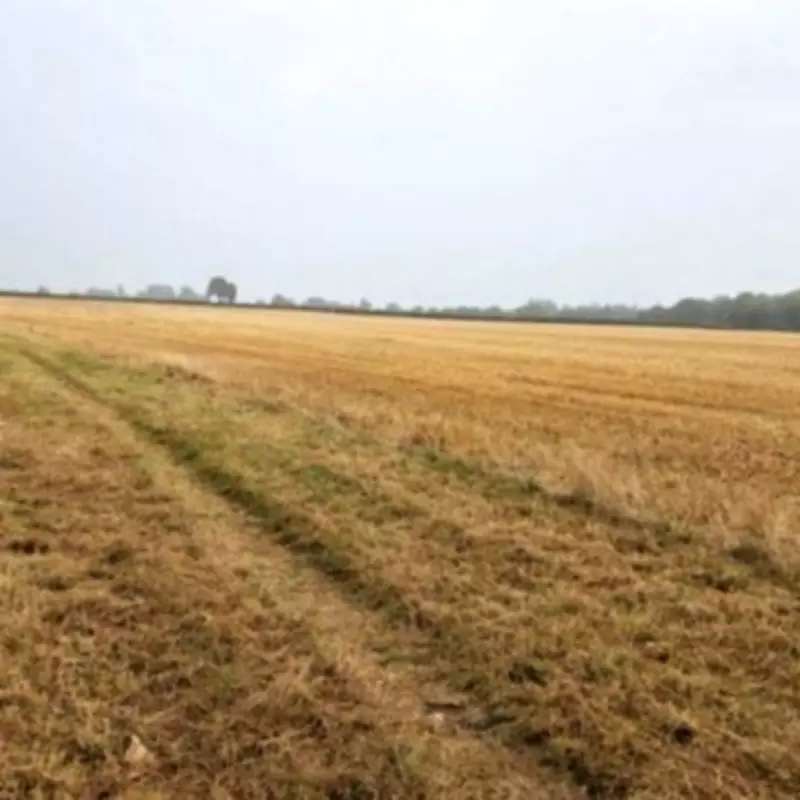 Solar Farm Approved in Glazebury Despite Green Belt Objections