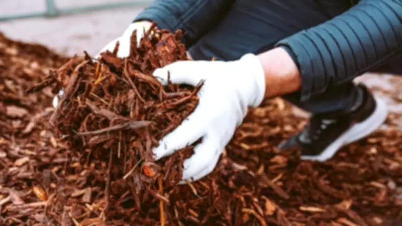 Spring Mulching Guide: Expert Tips for Choosing the Right Mulch for Your Garden