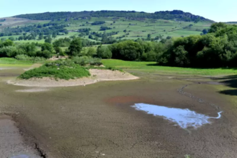 Super El Niño: Potential Drought Risk for West Midlands and Staffordshire
