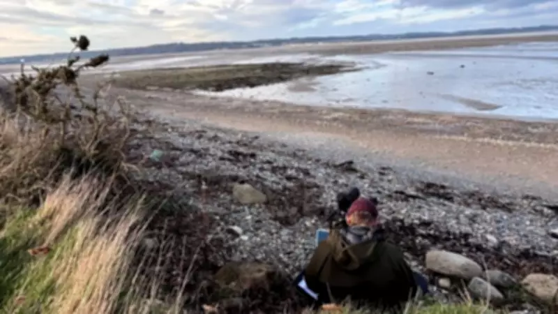 Survey at Traeth Lafan Aims to Protect Wintering Wading Birds from Human Disturbance