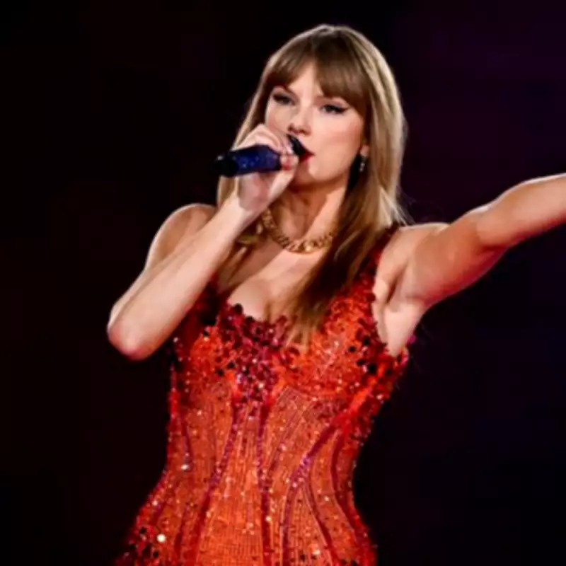 Taylor Swift Concert Attack Plotter Pleads Guilty in Vienna