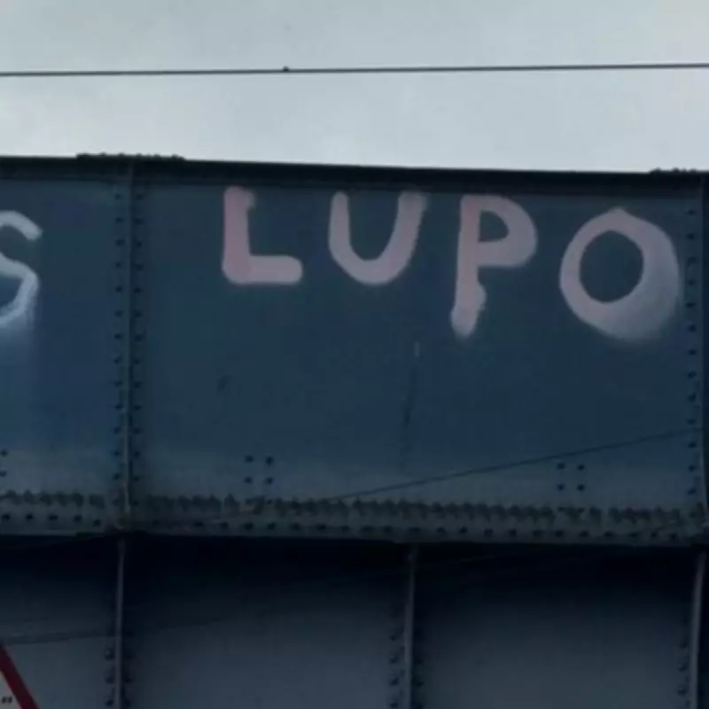 The Mystery of Birmingham's 'Lupoca' Graffiti Tag Unraveled