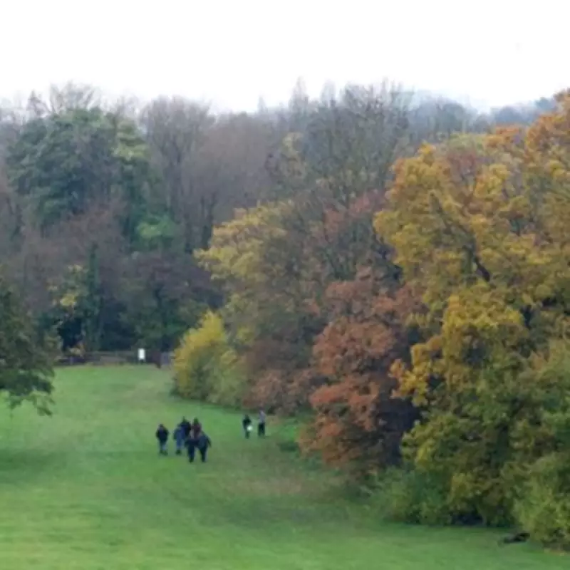 Tolkien Society Seeks Daily Entertainment License for Birmingham's Sarehole Recreation Ground