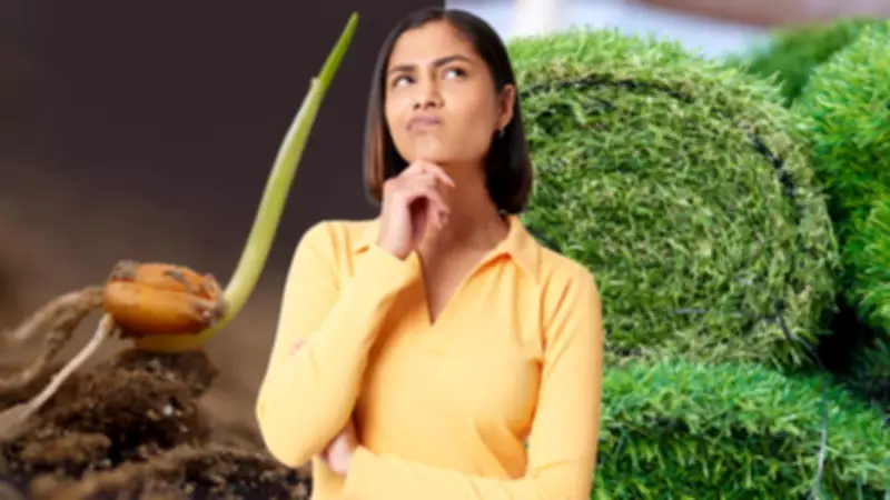 Turf vs Seed: Expert Guide to Choosing the Right Lawn for Your Garden