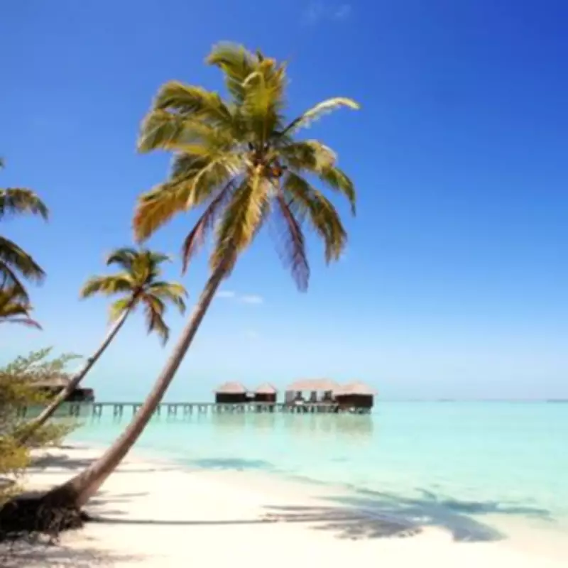UK Foreign Office Updates Maldives Travel Advice for British Tourists