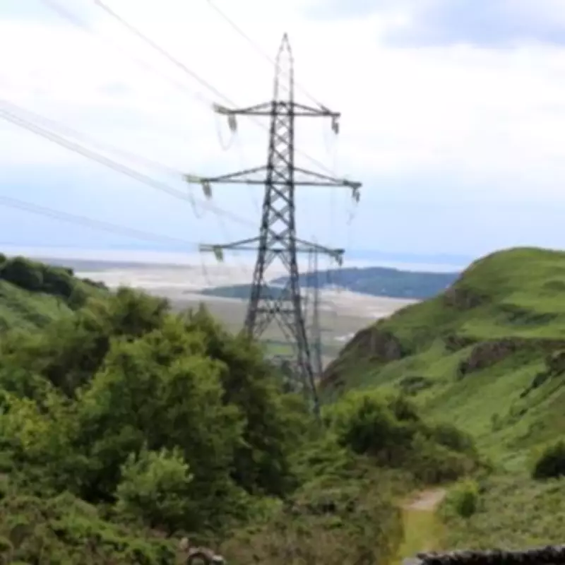 UK Households to Receive Payments for Strategic Electricity Use in Grid Overhaul