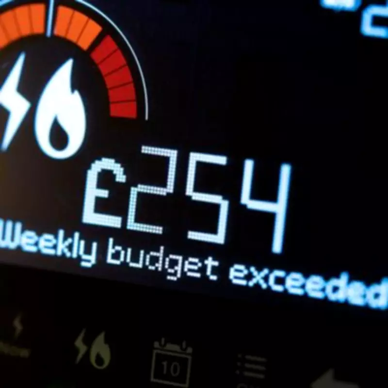 UK Smart Meter Households: Get Paid for Using Electricity This Bank Holiday
