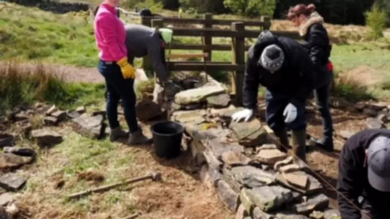 Volunteers Host Free Conservation Day on Crompton Moor for Wetland Maintenance
