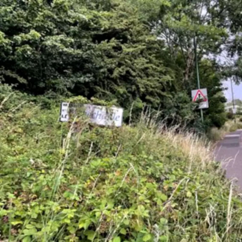 Walsall Election Candidates Outline Stances on Green Belt, Housing and Rewilding