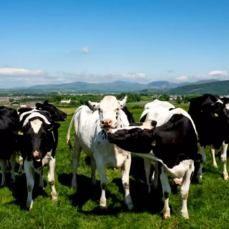 Wiltshire Farmers Plan UK's First Micro-Scale Vegetable Tannery