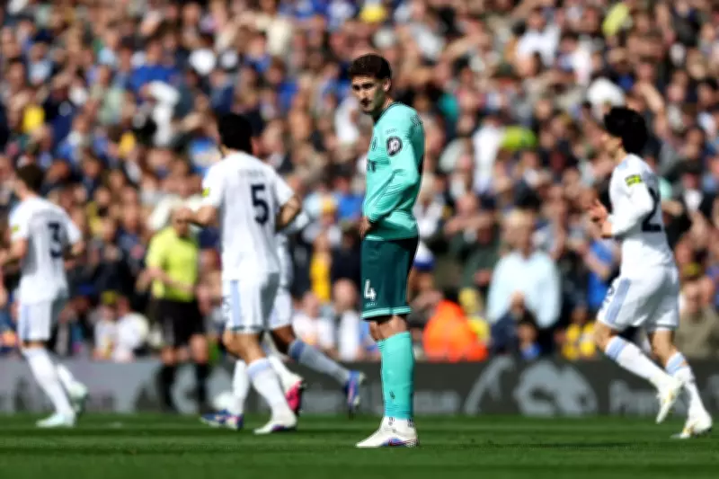 Wolves Fans Slam Team's Performance as Relegation Looms Closer