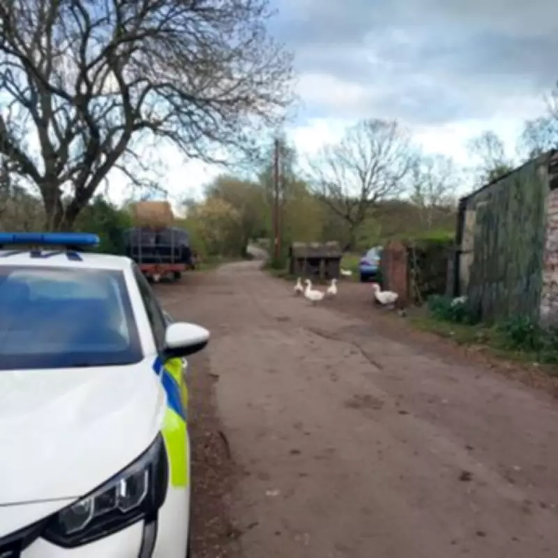 Youths Steal Eggs from Farm Honesty Box and Target Brownhills Homes