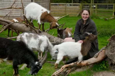 10 Unforgettable Reasons to Visit Hoo Zoo in Shropshire This Year