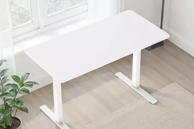 Bargain Electric Standing Desk Transforms Your Workday for £241