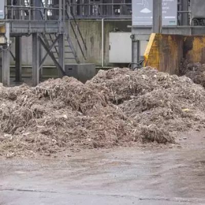 Birmingham Sewer Workers Reveal Shocking Finds: From Guns to a Whole Horse