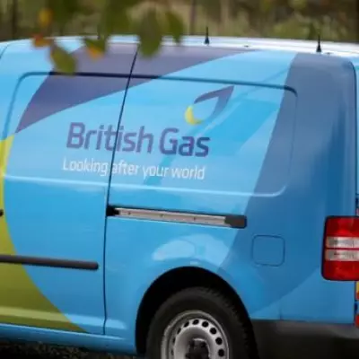 British Gas Announces Plug-In Solar Panels for Renters and Flat Dwellers