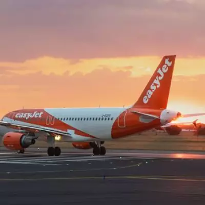 EasyJet Pilot Aborts Landing at Paris Orly Over Fireworks Fears Near Runway
