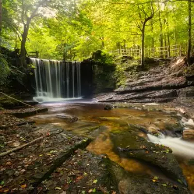 Family Recommends Waterfall and Bluebell Trail Near Birmingham