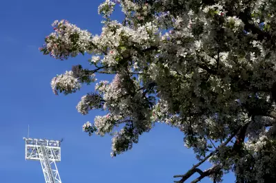 Four West Brom Youngsters Handed Professional Contracts