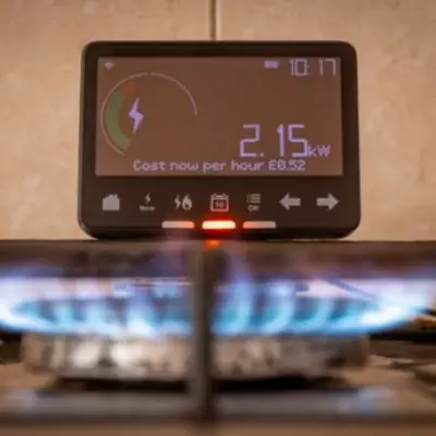 Government Unveils Plug-In Solar Panel Initiative to Cut Energy Bills for Major Suppliers' Customers