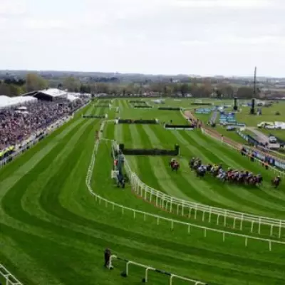 Grand National Bookmakers Panic as Outsider Becomes 7-1 Favorite