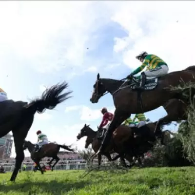 Grand National Horse Hospitalised After Aintree Race, Two Others Assessed