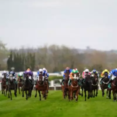 Grand National Trends Identify Horse With 'Perfect Profile' for Aintree Victory