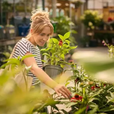 Major UK Garden Centre Supplier to Morrisons Enters Administration