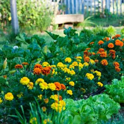 Monty Don Reveals the Easiest Plant to Grow in Your April Garden