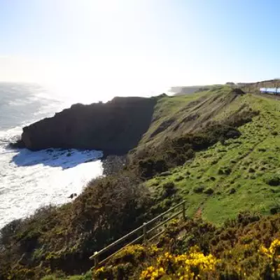 New Lumo Train Service from West Wales to London Launching December 2027