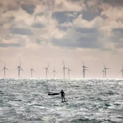 North East Unveils 10-Year Offshore Wind Strategy to Boost Green Economy