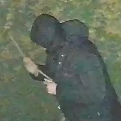 Rapist Released from Mental Unit Days Before Attacking Sikh Woman