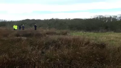 Rare Nightingale Sings on Sefton Coast After 40-Year Absence