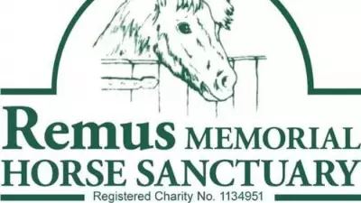 Remus Horse Sanctuary Open Day Features Mickey Mouse as Special Guest