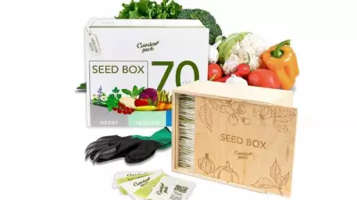 Spring Gardening Guide: Top Seed Boxes and Starter Kits for Your Garden