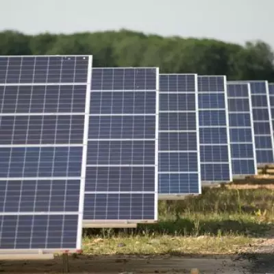 Strong Cross-Party Support for Renewable Energy Expansion in Wales Revealed