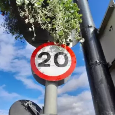 Tory Leader Proposes Scrapping Penalty Points for 20mph Speed Limit Breaches