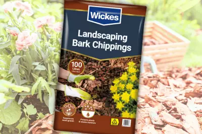 Wickes Bark Chippings 3 for £30 Deal: Gardeners Rush to Stock Up