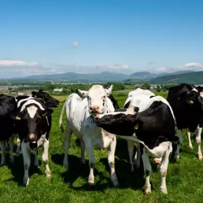 Wiltshire Farmers Plan UK's First Micro-Scale Vegetable Tannery