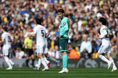 Wolves Fans Slam Team's Performance as Relegation Looms Closer