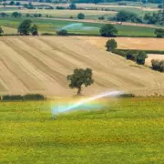 11 UK Counties to Miss First Mini-Heatwave of 2026 - Full List Revealed