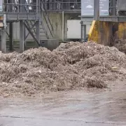 Birmingham Sewer Workers Reveal Shocking Finds: From Guns to a Whole Horse